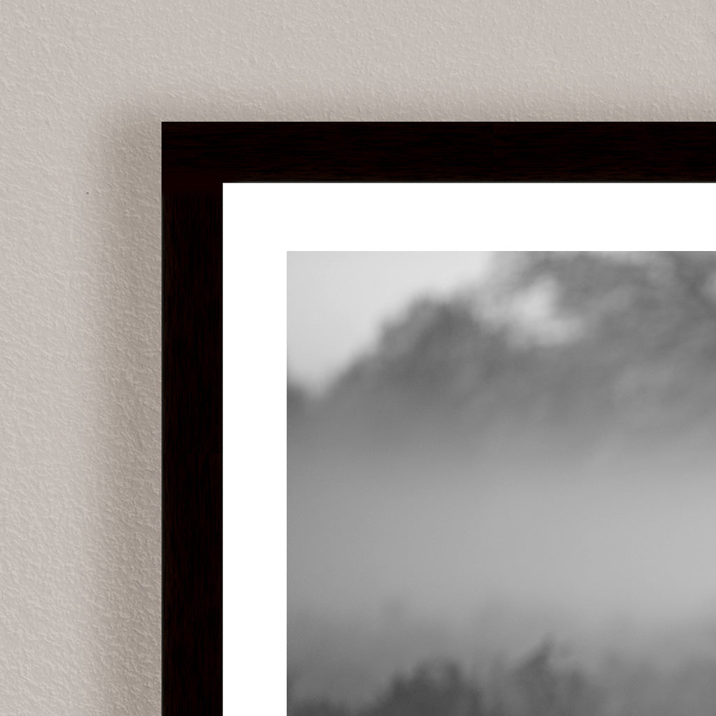 "Sunny Morning" Framed Print Wall Art