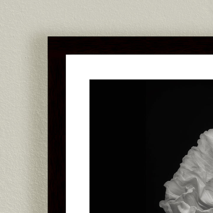 "Poppy" Framed Print Wall Art