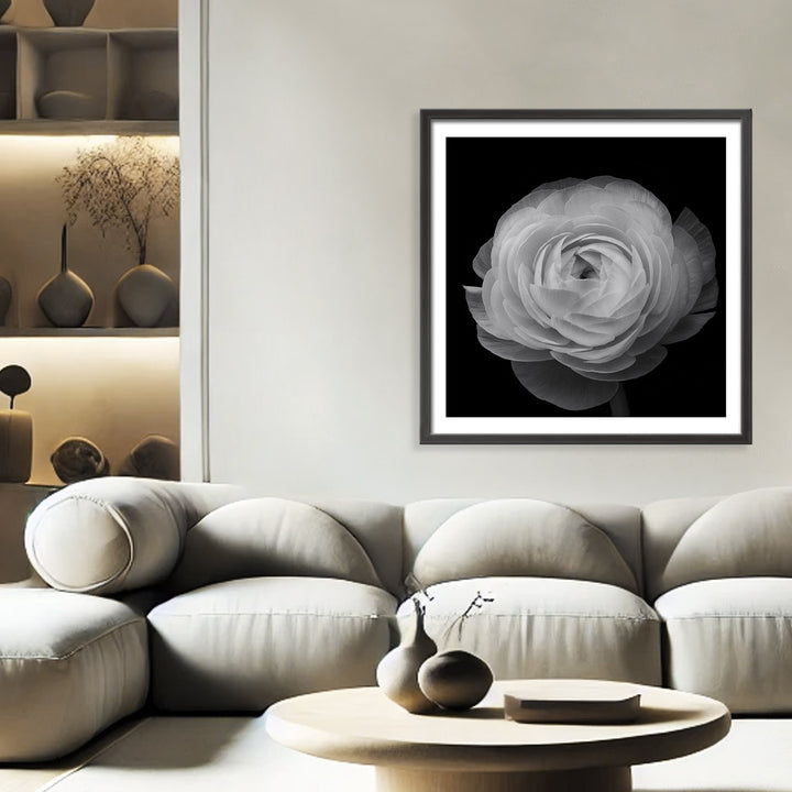 "Ranunculus" Framed Print Wall Art