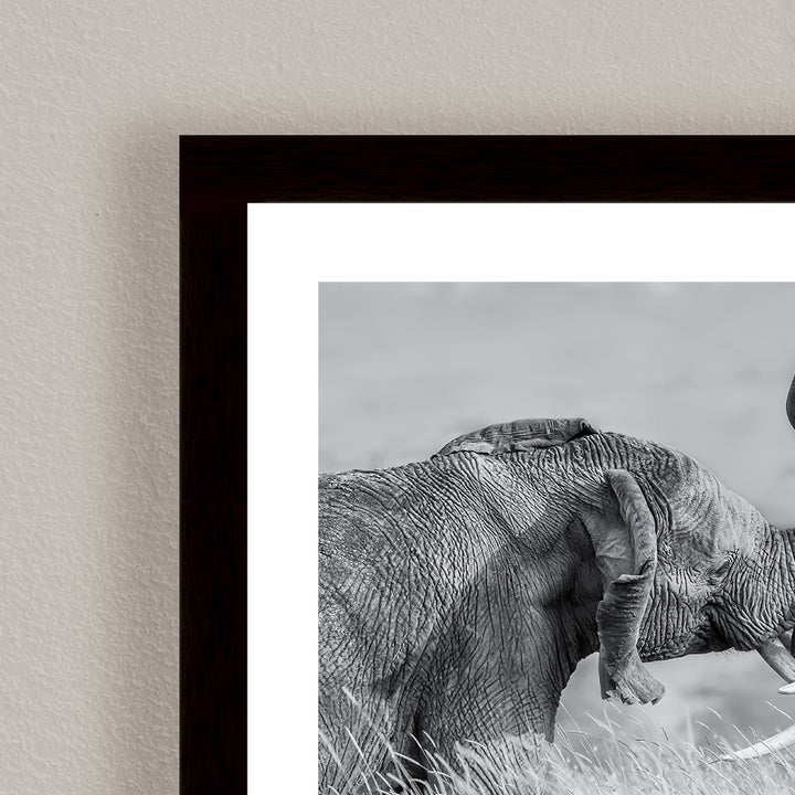 "Elephant Tai Chi" Framed Print Wall Art