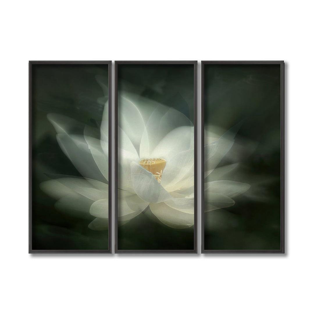 Open box Swaying Framed 3-Piece Wall Art Set wall art