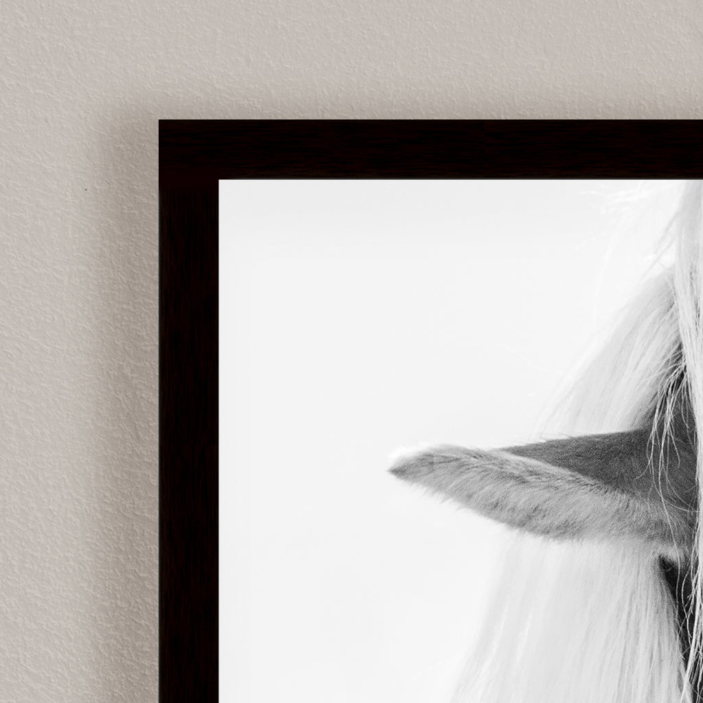 "Halflinger Portrait" Framed Print Wall Art