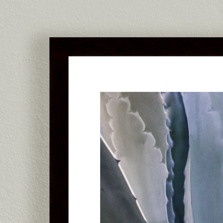"Sonoma Summertime Roadside Abstract" Framed Print Wall Art