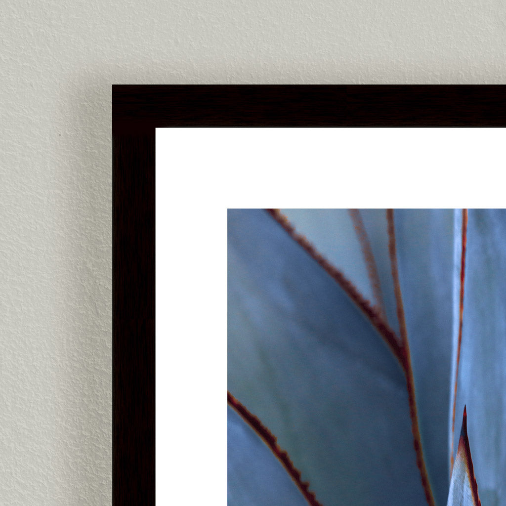 "Blue Agave Abstract" Framed Print Wall Art