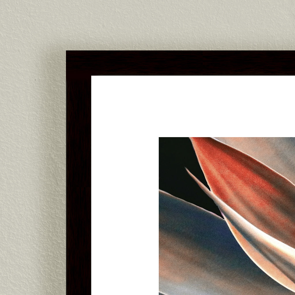 "The Colors in Leaves" Framed Print Wall Art