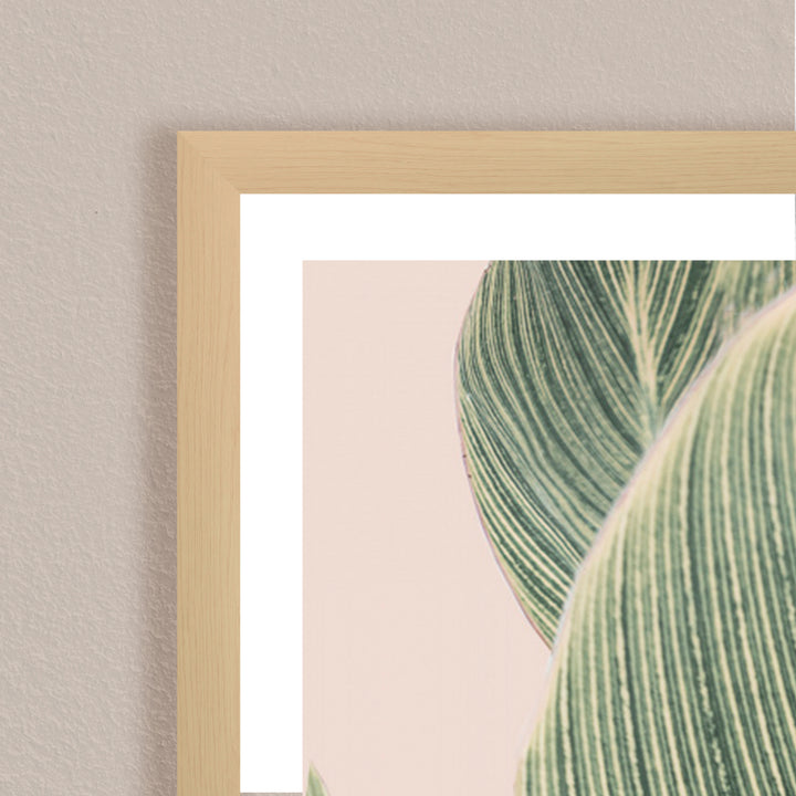 "Calla Leaf" Framed Print Wall Art