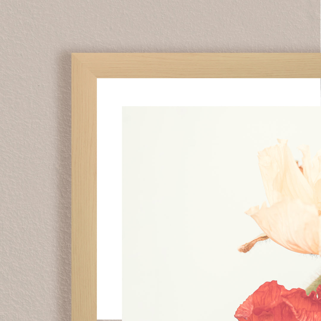 "Poppies" Framed Print Wall Art