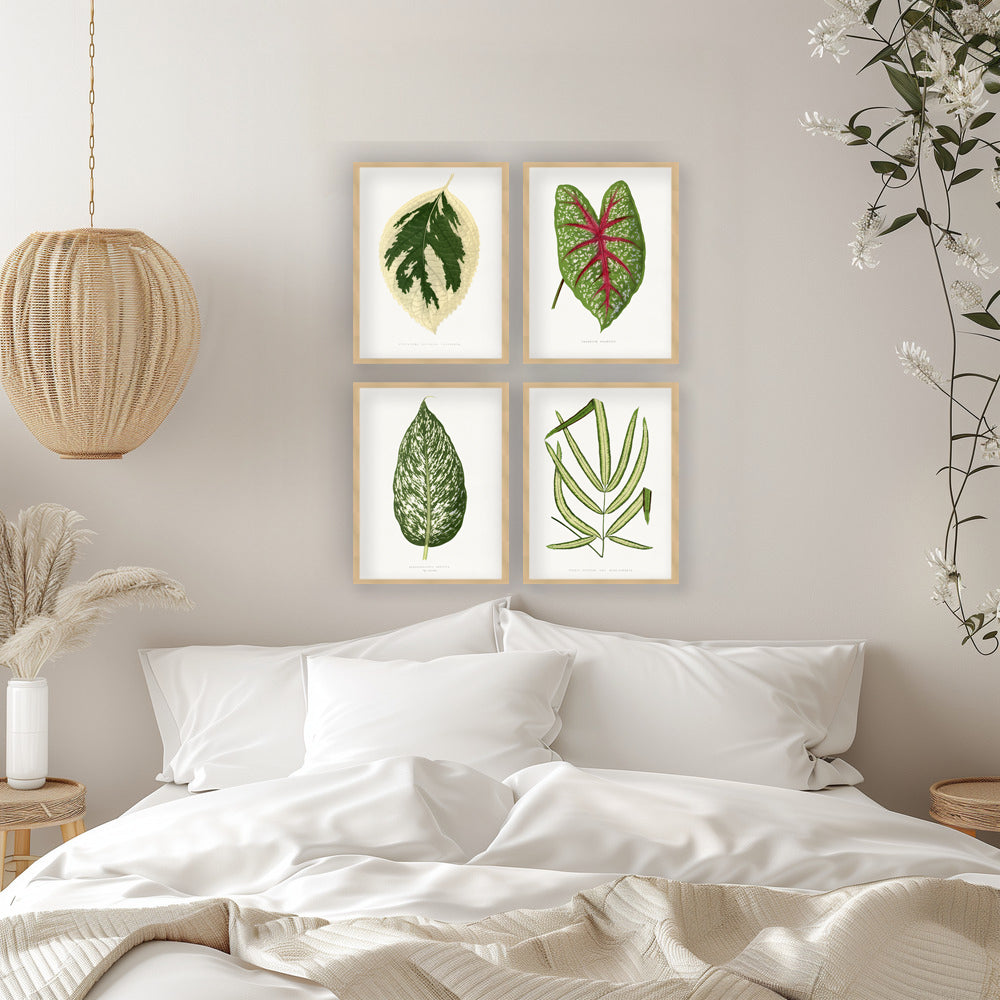 "Exotica Verde" Set of Four Framed Textured Wall Art