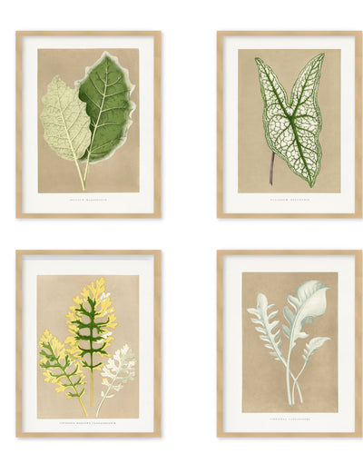 "Verdant Elegance" Set of Four Framed Textured Wall Art