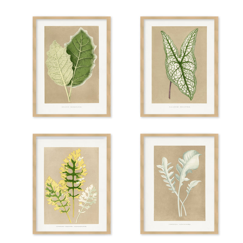 "Verdant Elegance" Set of Four Framed Textured Wall Art