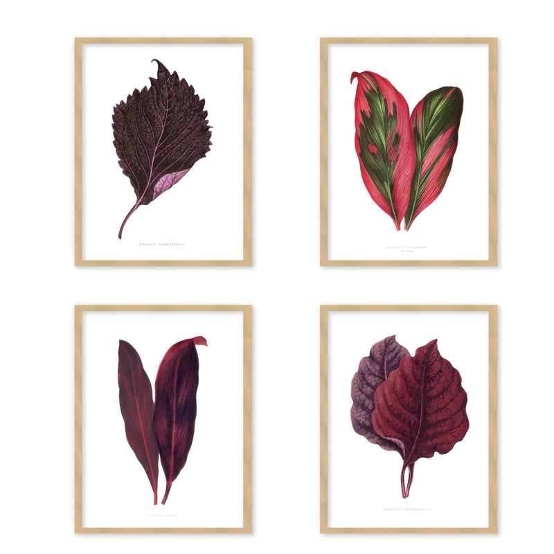 "Blush Botanica" Set of Four Framed Textured Wall Art