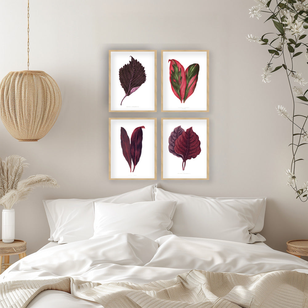 "Blush Botanica" Set of Four Framed Textured Wall Art