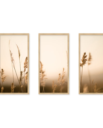 "Marsh Grass No.2" Set of Three Framed Textured Wall Art