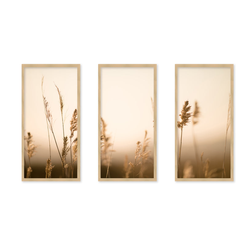 "Marsh Grass No.2" Set of Three Framed Textured Wall Art