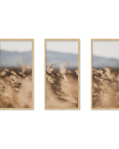 "Marsh Grass No.11" Set of Three Framed Textured Wall Art