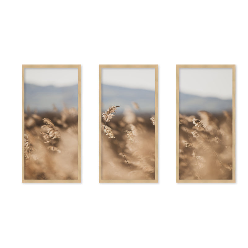 "Marsh Grass No.11" Set of Three Framed Textured Wall Art