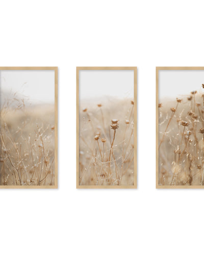 "winter thistle no.2" Set of Three Framed Textured Wall Art