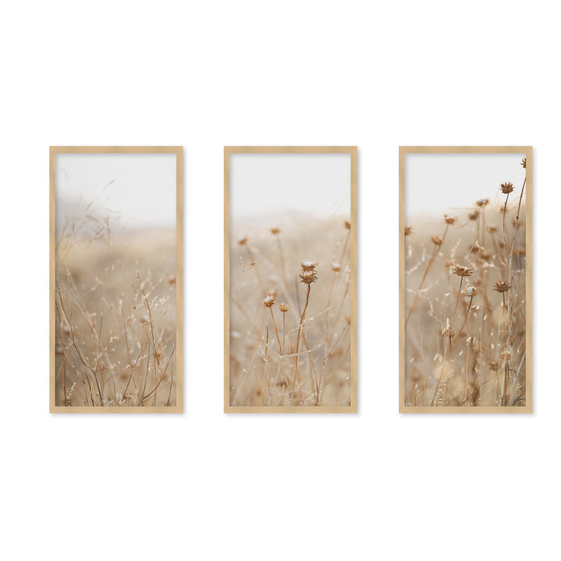 "winter thistle no.2" Set of Three Framed Textured Wall Art