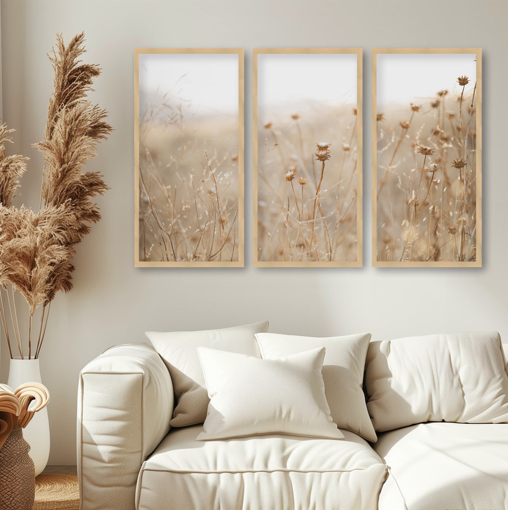 "winter thistle no.2" Set of Three Framed Textured Wall Art