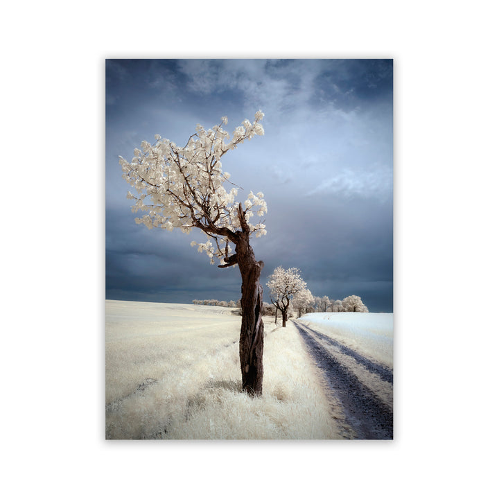 "IRenka" Acrylic Wall Art