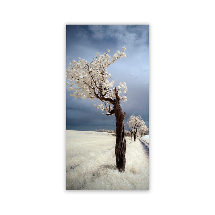 "IRenka" Acrylic Wall Art
