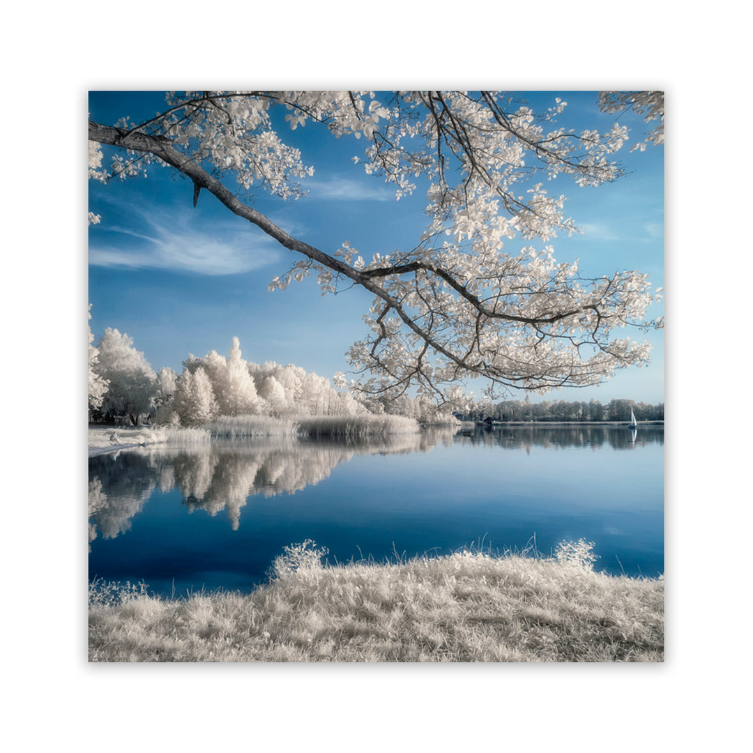 "Frozen Reflection" Acrylic Wall Art