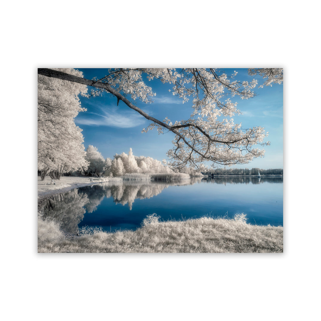 "Frozen Reflection" Acrylic Wall Art