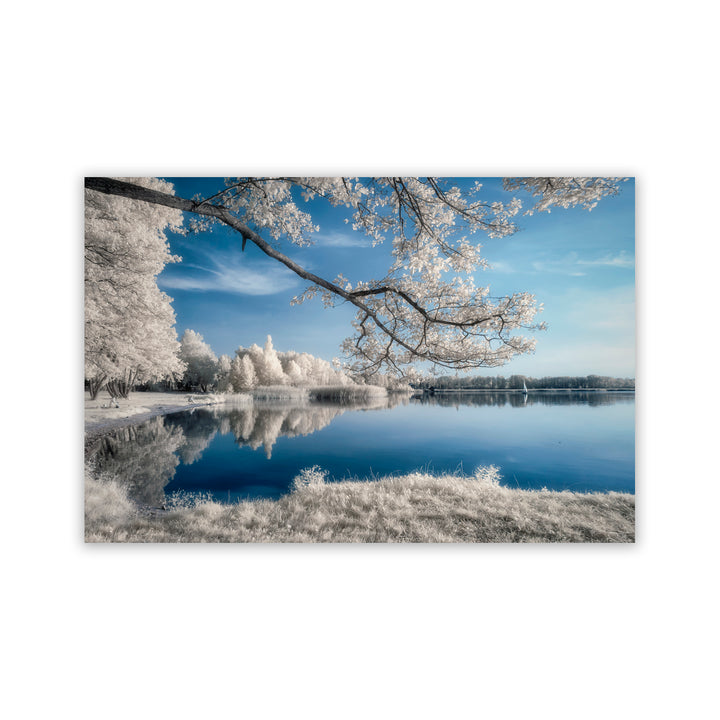 "Frozen Reflection" Acrylic Wall Art