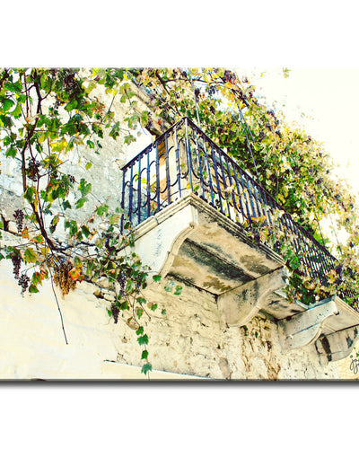 Open Box · One True Vine' Wrapped Canvas Wall Art
