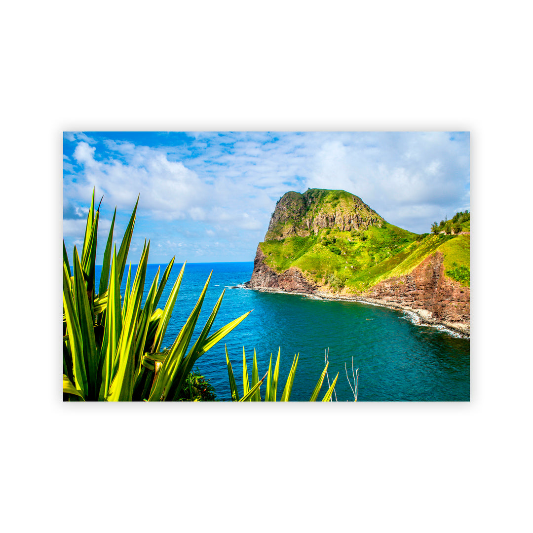 "Point Me At The Sky" Acrylic Wall Art
