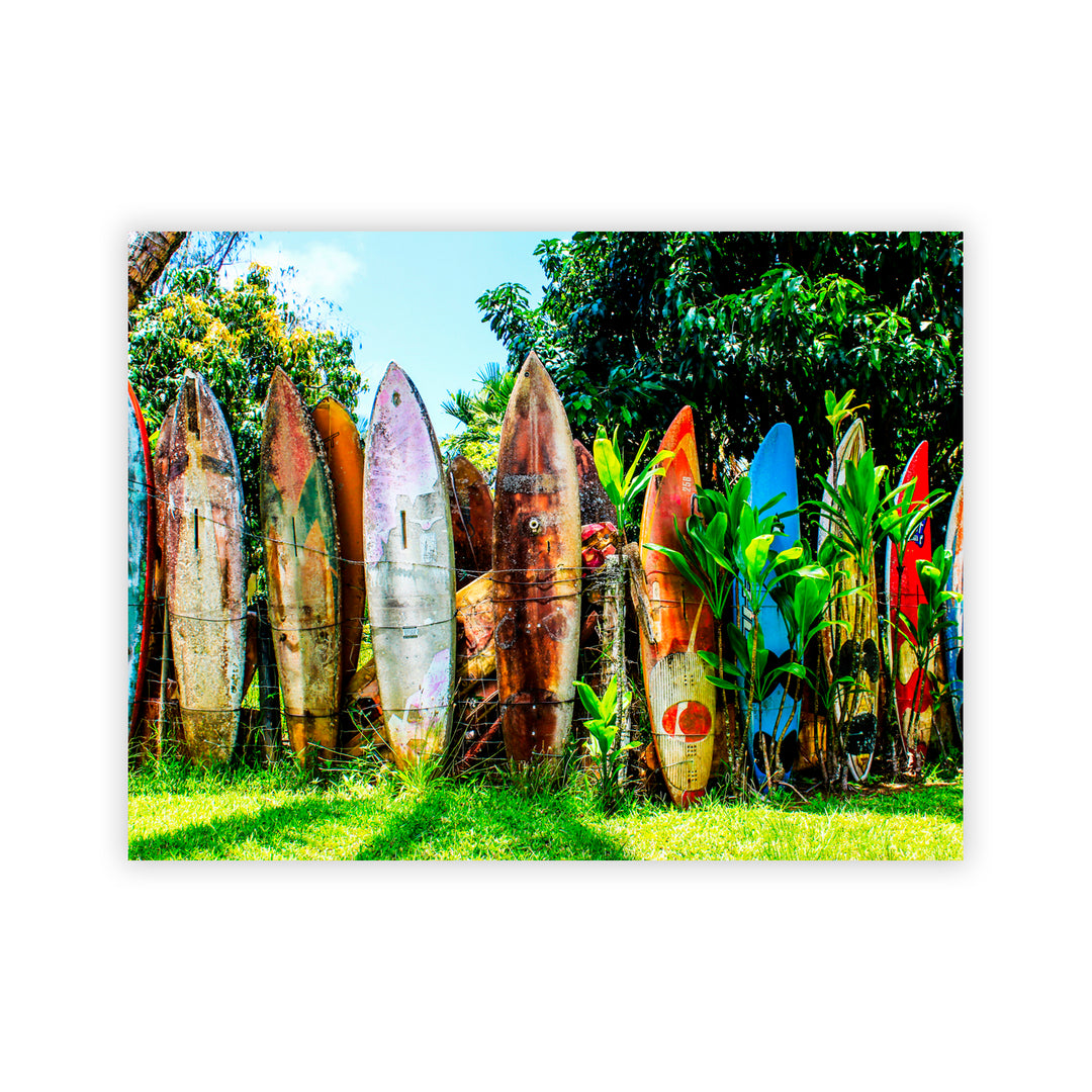 "Surfboard Fence" Acrylic Wall Art