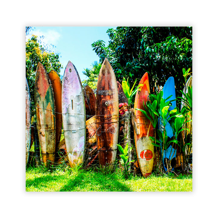 "Surfboard Fence" Acrylic Wall Art