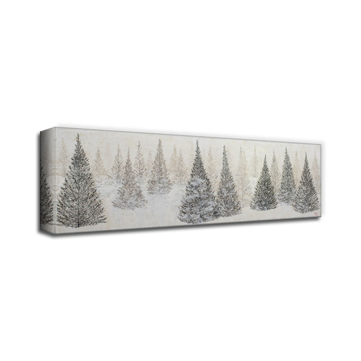 "Monoscape XLVII " Canvas Wall Art By Karen Biery