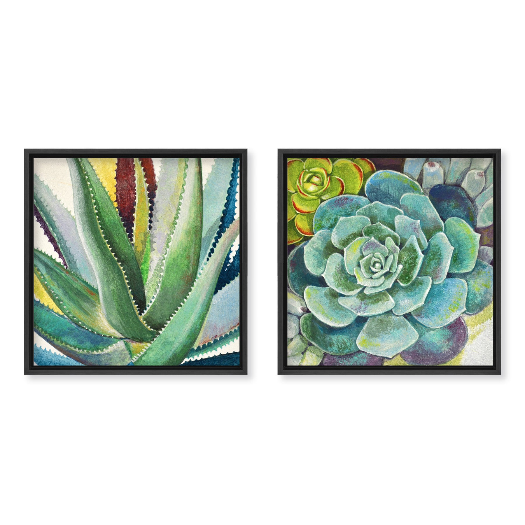succulent wall art set Brilliant Succulents I/II "Set of Two Framed Canvas Wall Art – Ready2HangArt