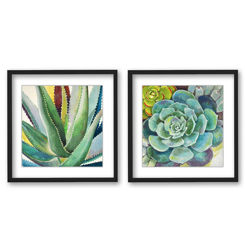 "Brilliant Succulents I/II "Set of Two Framed Matted Print Wall Art