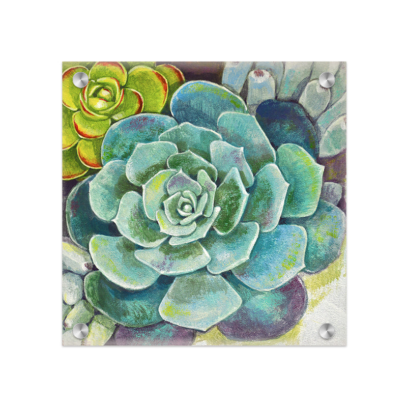 "Deep Succulents" Acrylic Wall Art