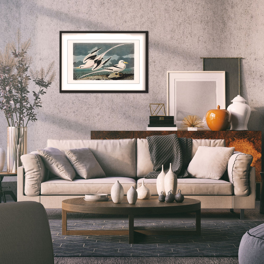 "Tropic Bird From Birds of America (1827)" Framed Matted Print Wall Art