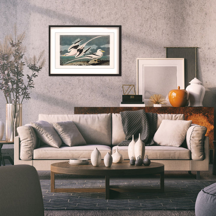 "Tropic Bird From Birds of America (1827)" Framed Matted Print Wall Art