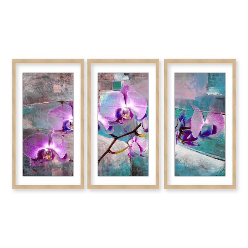 "Painted Petals XIX" Set of Three Framed Matted Print Wall Art