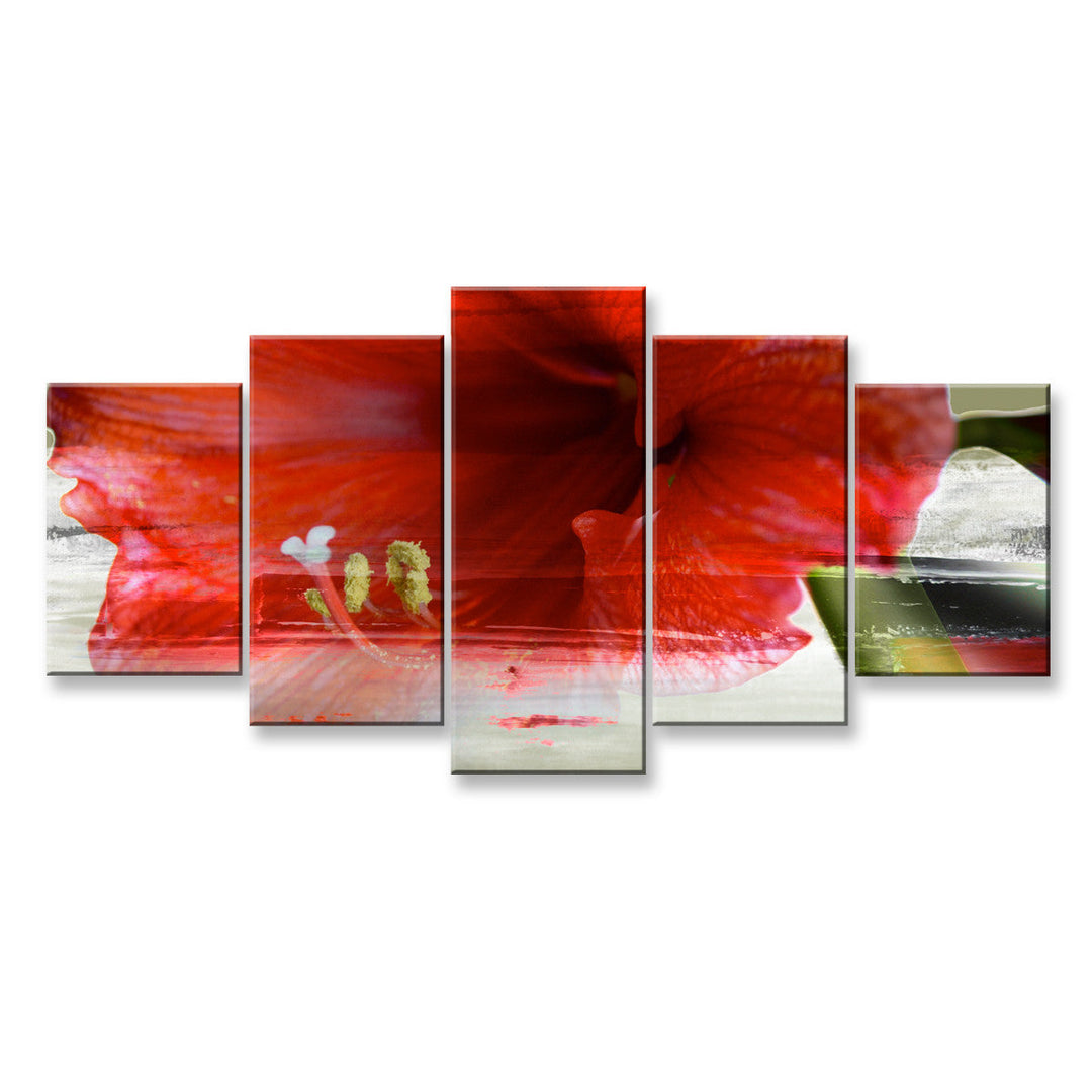 Open box Painted Petals XLIX' Canvas Wall Art wall art