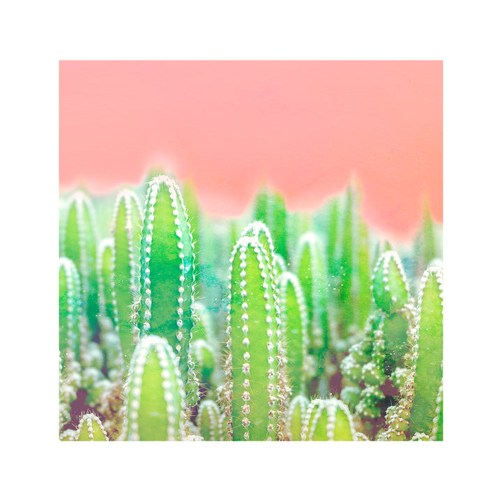 "Warm Succulent" Acrylic Wall Art