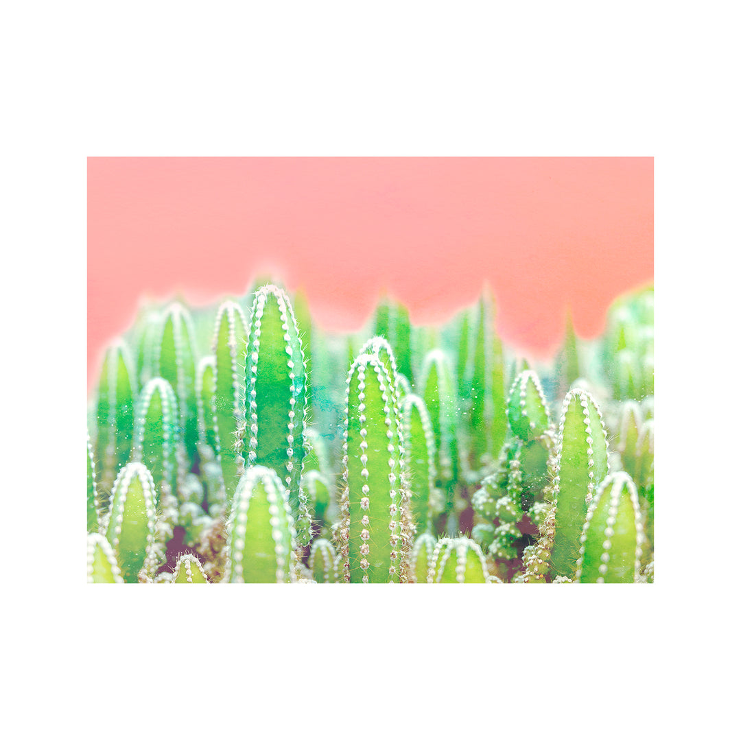 "Warm Succulent" Acrylic Wall Art