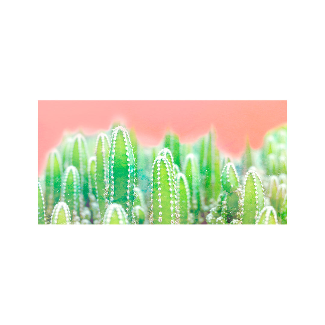 "Warm Succulent" Acrylic Wall Art