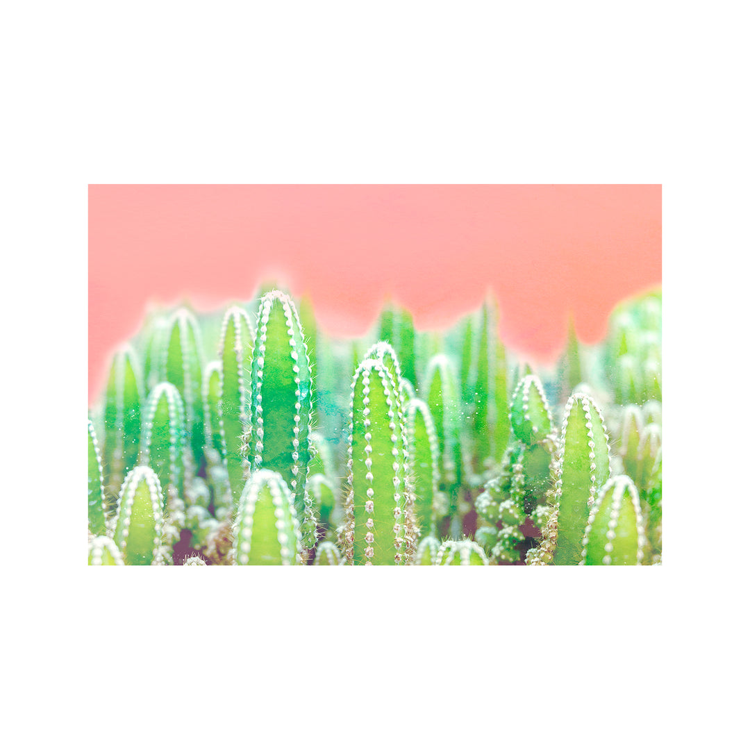 "Warm Succulent" Acrylic Wall Art