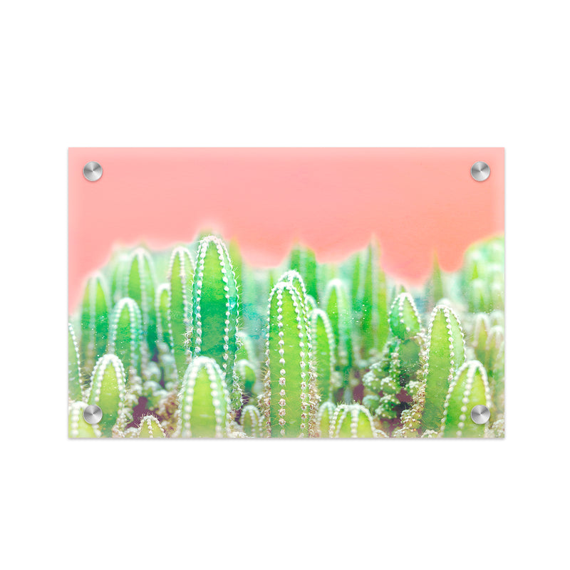 "Warm Succulent" Acrylic Wall Art