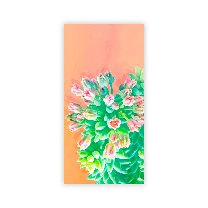 "Peach Succulents " Acrylic Wall Art