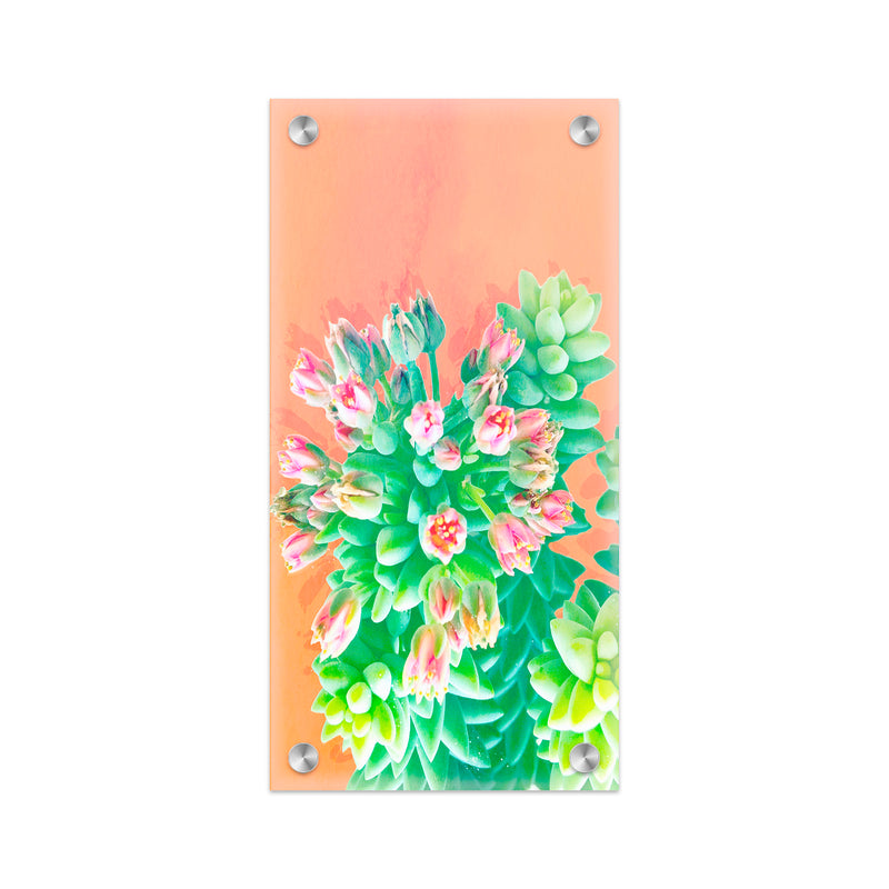 "Peach Succulents " Acrylic Wall Art