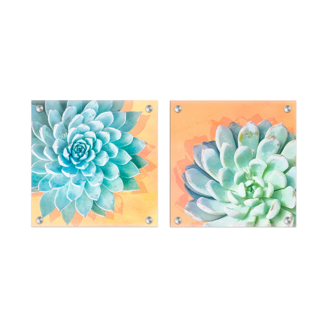 succulent wall art set Awaken Succulent Set of Two" Acrylic Wall Art – Ready2HangArt