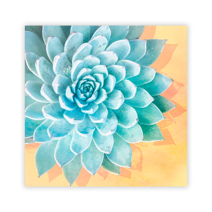 "Awaken Succulent Set of Two" Acrylic Wall Art
