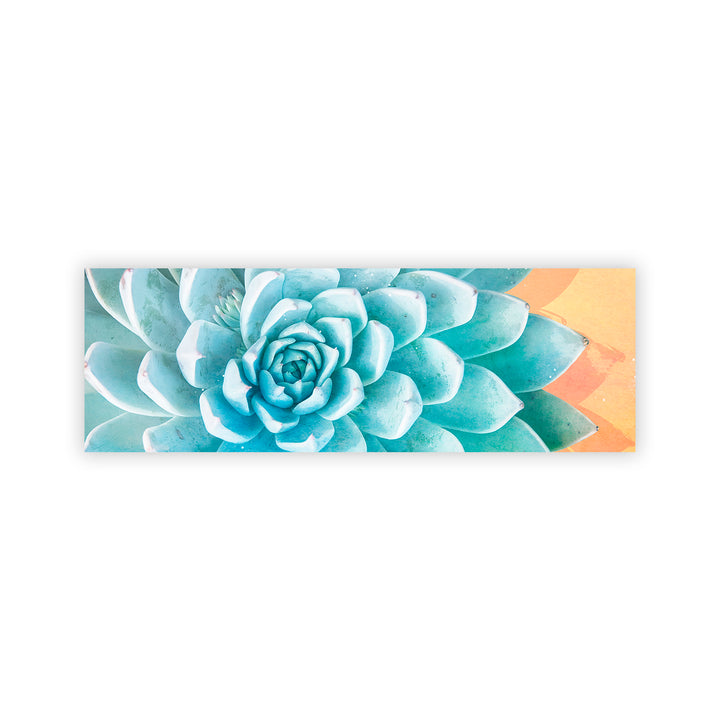 "Awaken Succulent Set of Two" Acrylic Wall Art